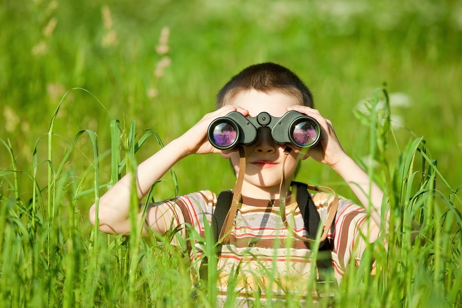 Traditional Summer Camps in New York